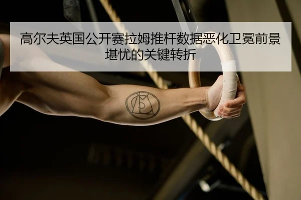 gao-er-fu-ying-guo-gong-kai-sai-la-mu-tui-gan-shu-ju-e-hua-wei-mian-qian-jing-kan-you-de-guan-jian-zhuan-zhe-2-315.jpg